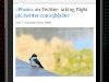 twitter-for-android-app