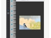 twitter-for-ipad