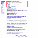 Google Social Search startet