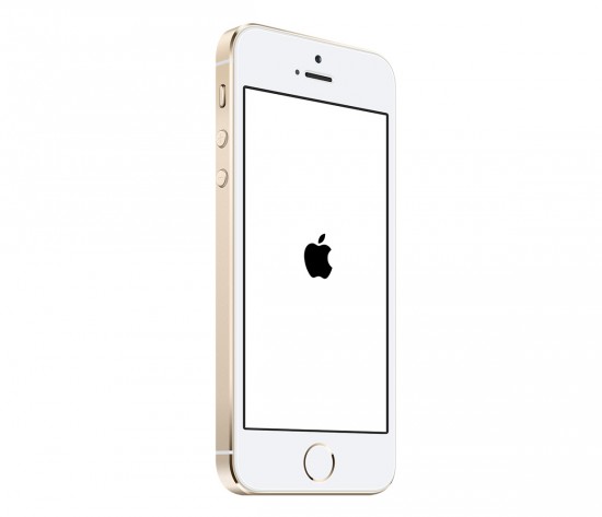 iPhone-5S-Gold-White-Screen-Of-Death