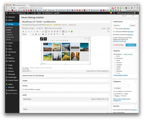 WordPress-3.9-Update-on-iFrick